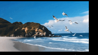 09.gif 09.gif