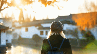 11.gif 11.gif