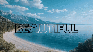 04.gif 04.gif
