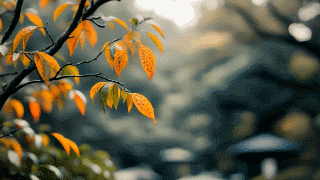 07.gif 07.gif