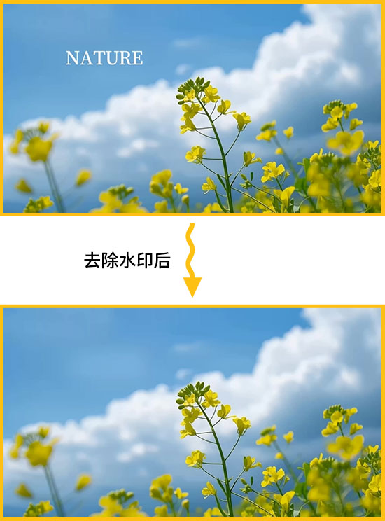 02.jpg