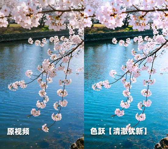 03.jpg